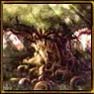 Avatar elfo32