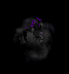 Avatar nonmorto47
