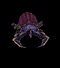 Avatar nonmorto49
