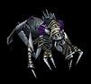 Avatar nonmorto50