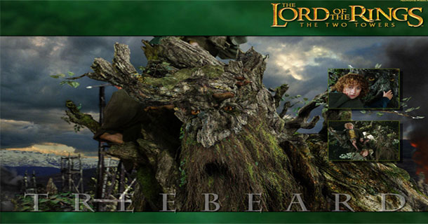 barbalbero barbalbero