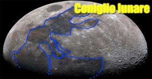 coniglio lunare