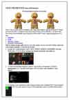Scarica il PDF de IL PALADINO
