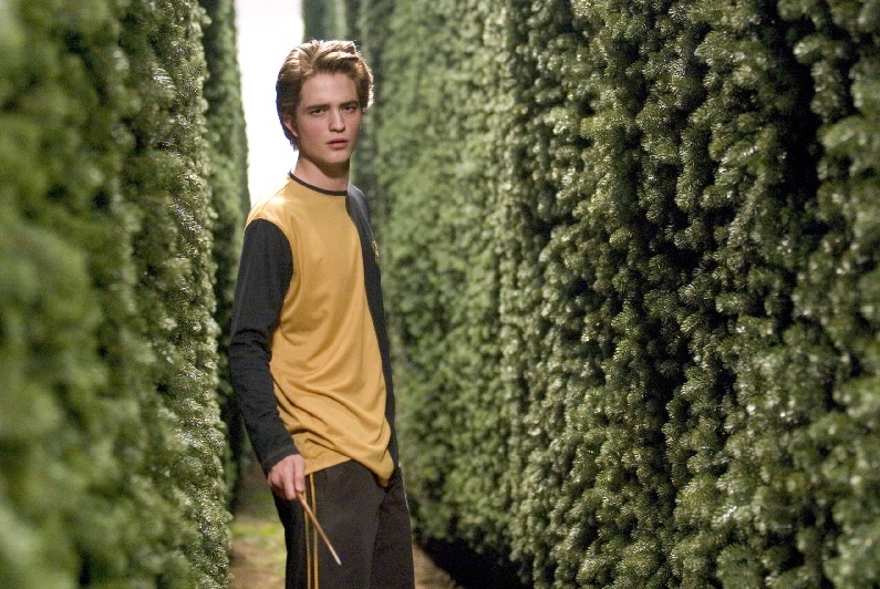 Cedric Diggory